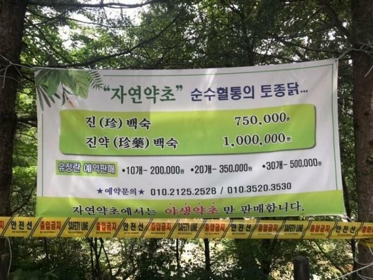 원닭한마리 이미지