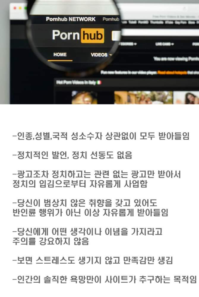 클린냥이 이미지
