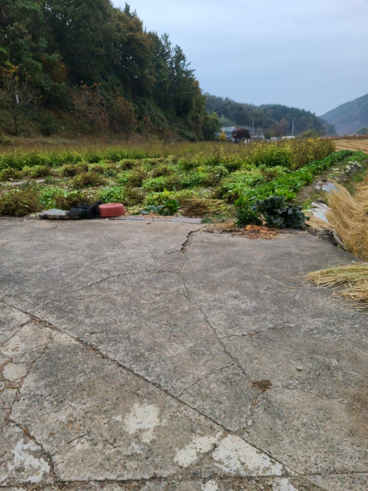 메이플스토리 인벤 : 비안온다메 안온다메 기상청 ㅅㅂ롬아 - 메이플스토리 인벤 자유게시판