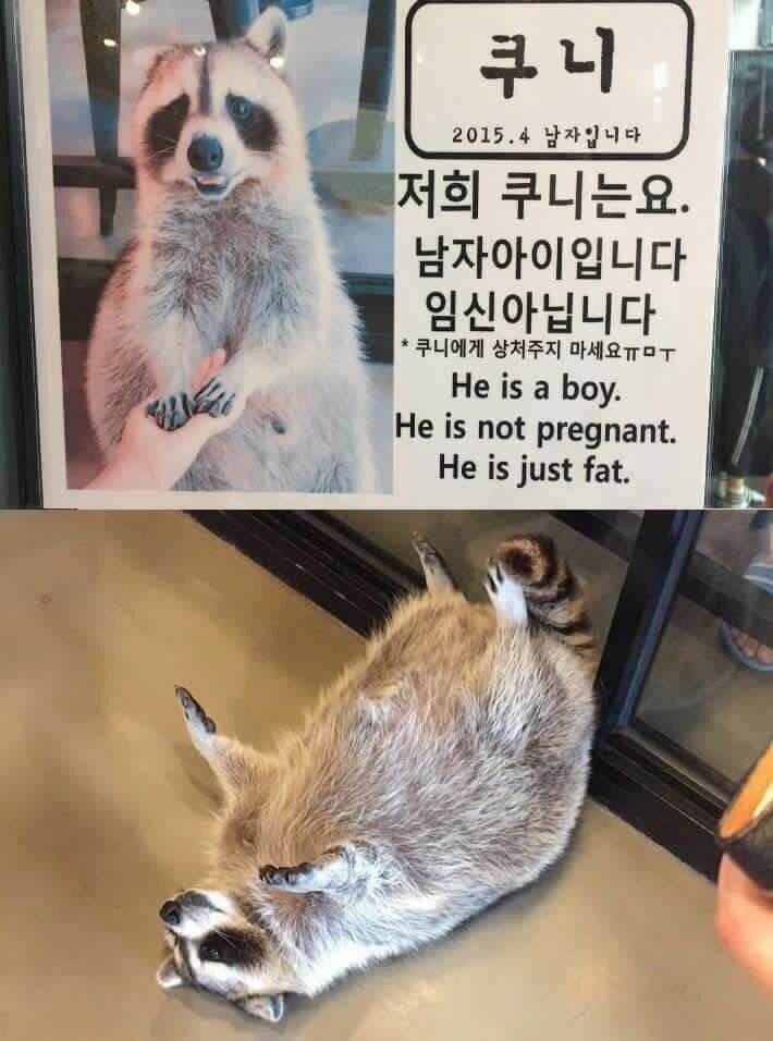 이*애 이미지