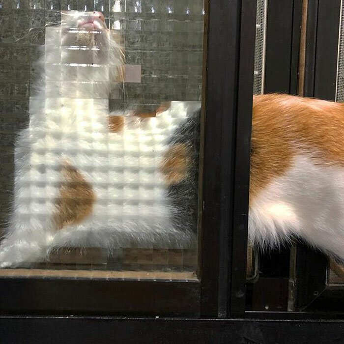 네모PC방 이미지