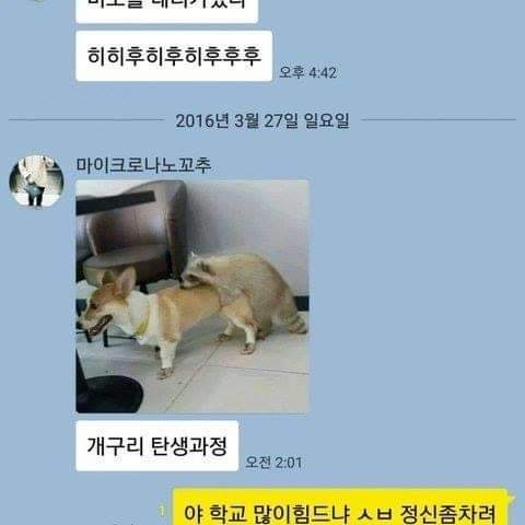 메이플스토리 인벤 : 개구리 탄생 과정 - 메이플스토리 인벤 자유게시판 (구) 개구리 탄생 과정