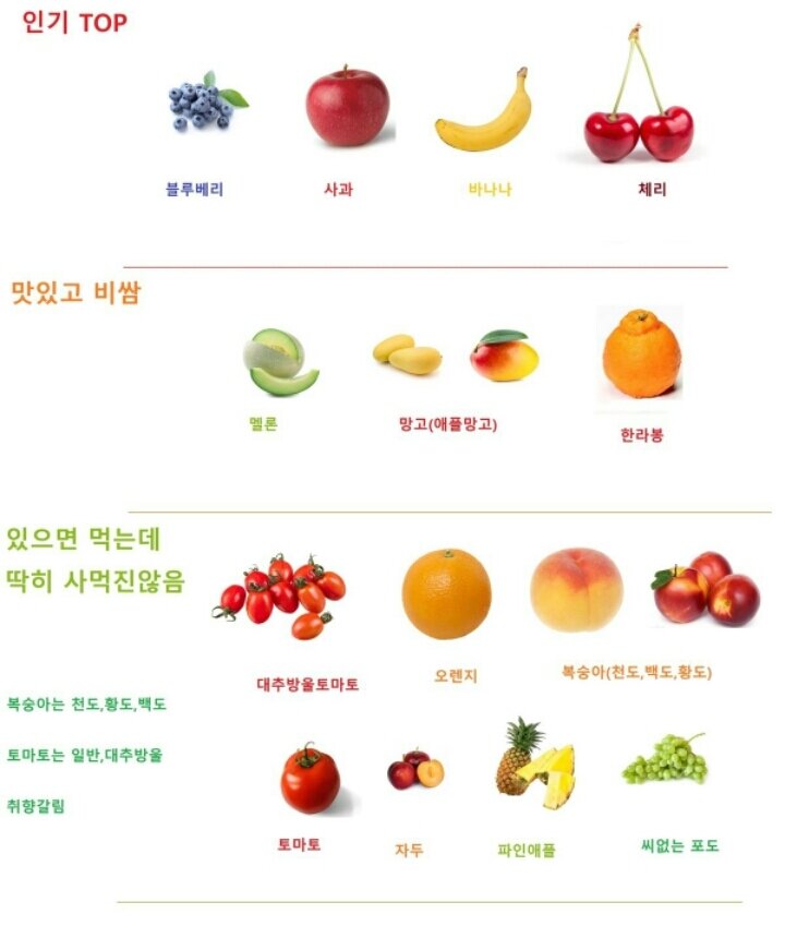 랭킹피시방 이미지