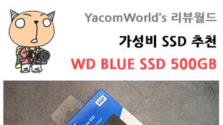 가성비 SSD 추천 WD BLUE SSD 500GB 리뷰