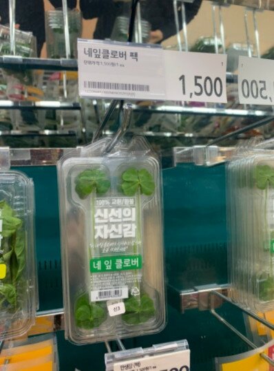 행운돈 이미지