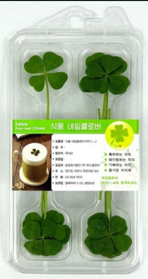 행운돈 이미지