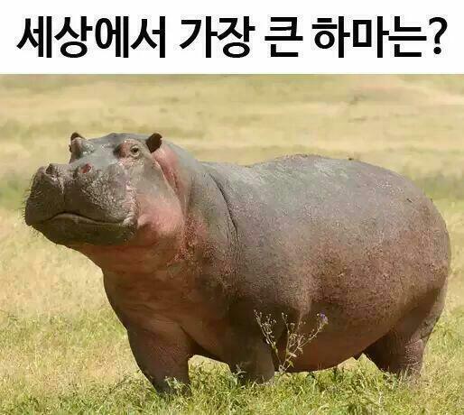 갤러리하마 이미지