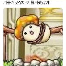 손이가 이미지