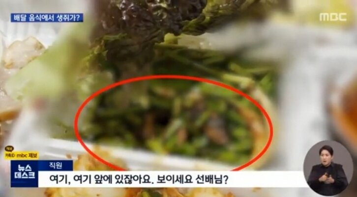 족발속으로 이미지
