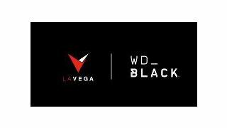WD_BLACK X LAVEGA 스폰서 인터뷰 광고 영상