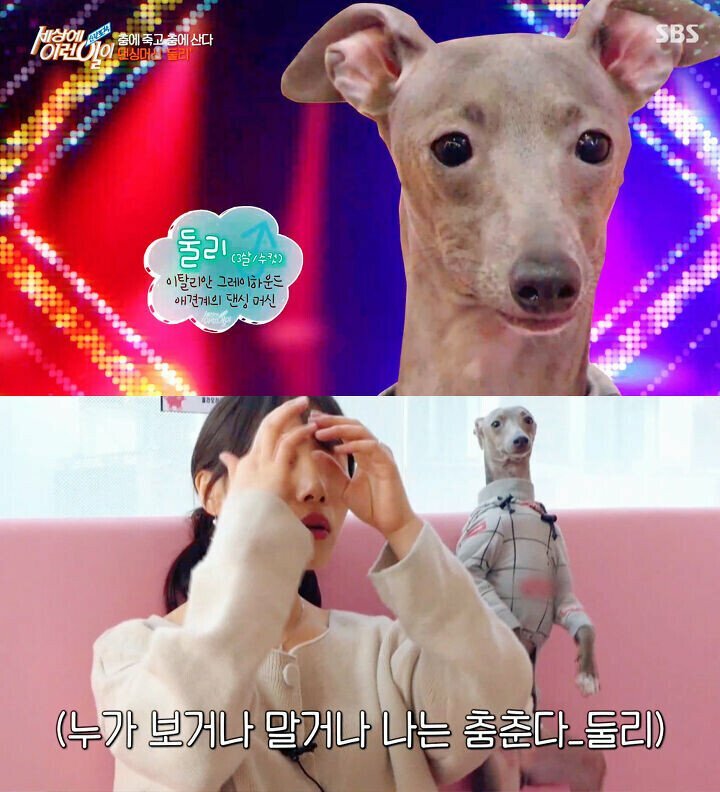 피파 온라인4 인벤 : 홍대 인싸 강아지.gif - 피파 온라인4 인벤 자유게시판