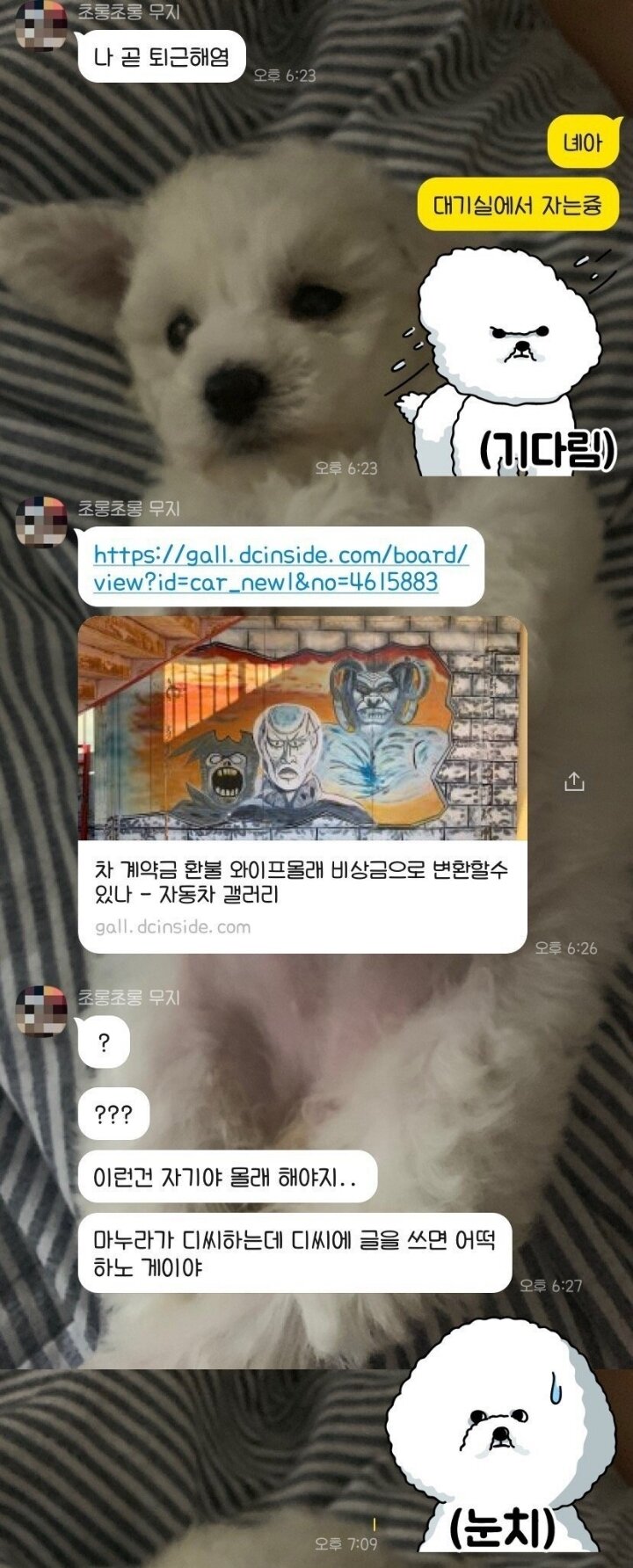 더디씨 이미지