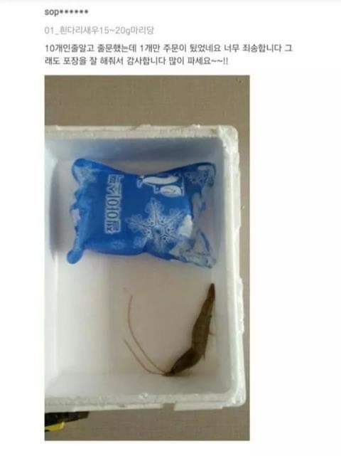 아이스스토리 이미지