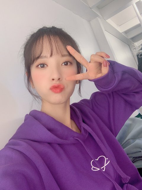 보나 이미지
