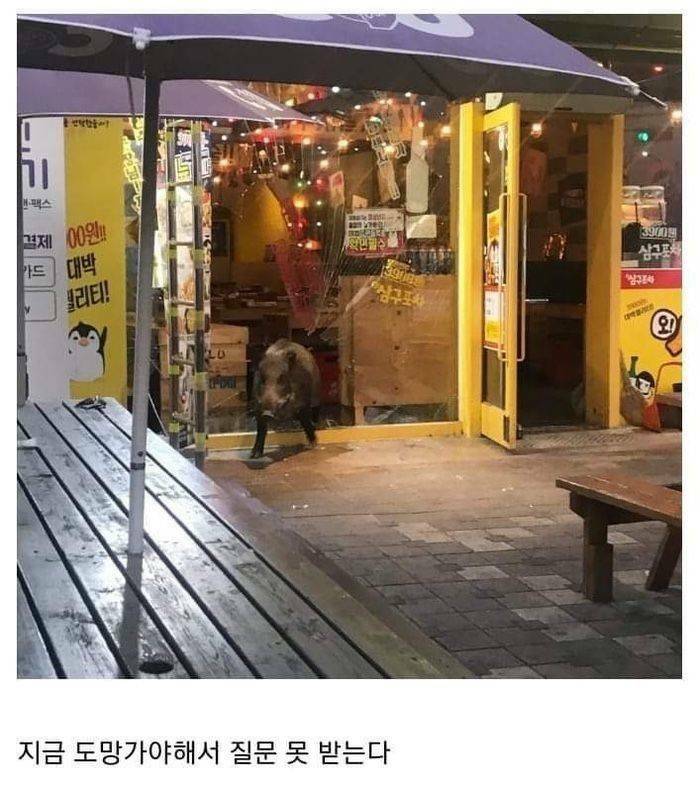 갤러리포차 이미지