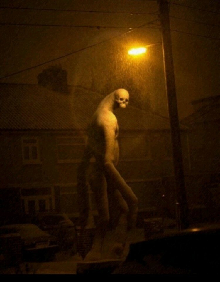 람스토리 이미지