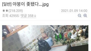 주방에 물 틀어놓고 잔 야갤러