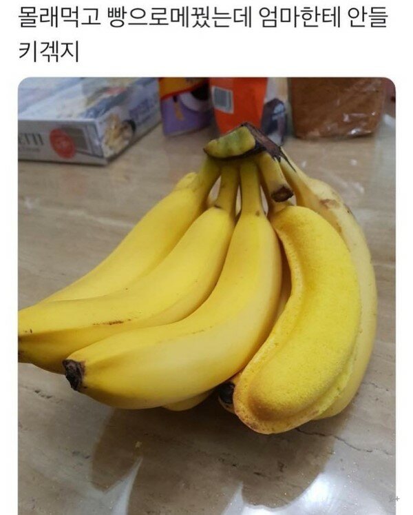 바나나스토리 이미지