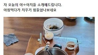 펜션 양아치들