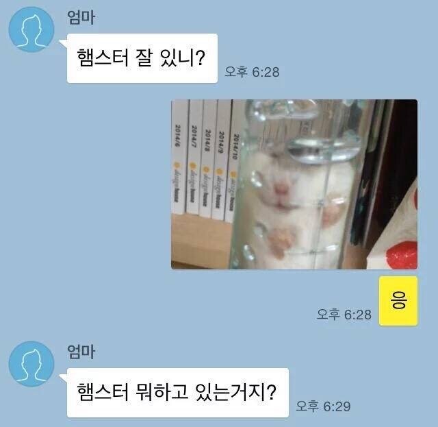 무시얼럿 어둠땅 버전 모르시는 분들 계셔서. | 와우 인벤