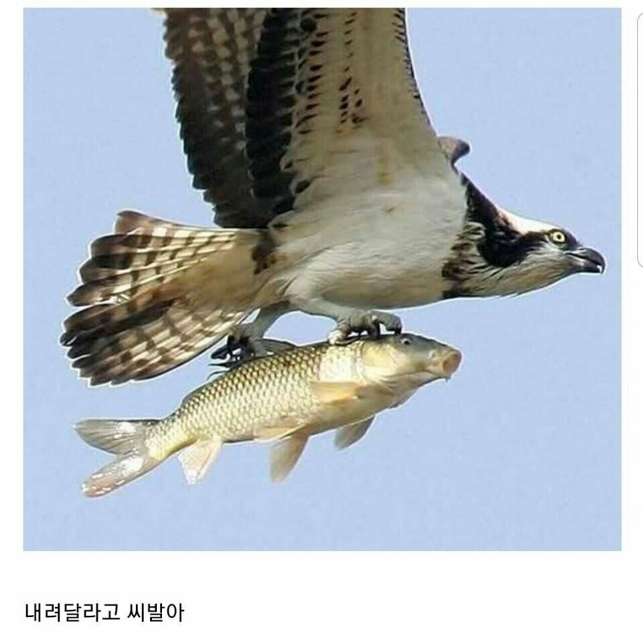 캐드스토리 이미지