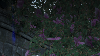 갤러리 프리뷰 이미지