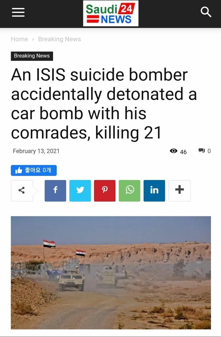 IS 자살 폭탄 테러로 21명 사망
