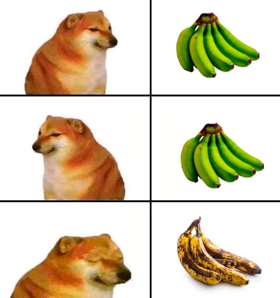 바나나스토리 이미지