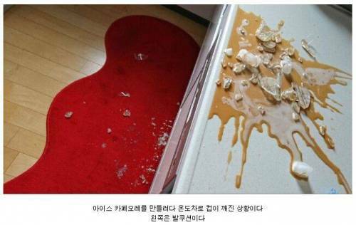 아이스스토리 이미지
