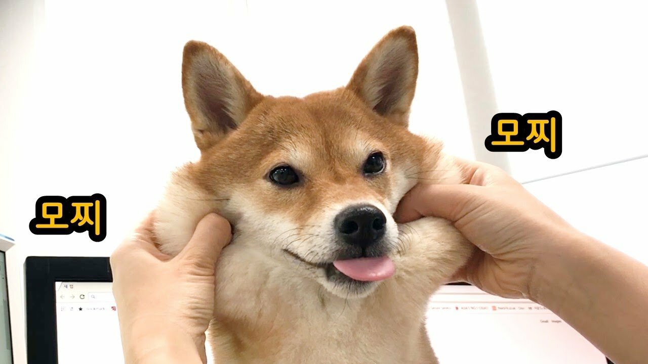 지금 이미지