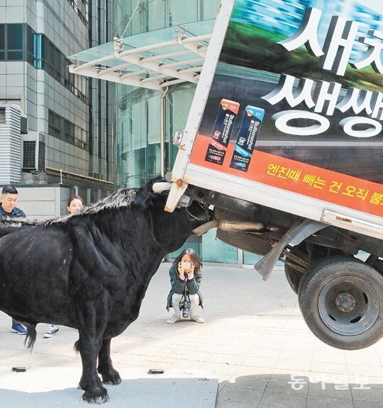 트럭스토리 이미지