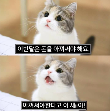 더리아 이미지