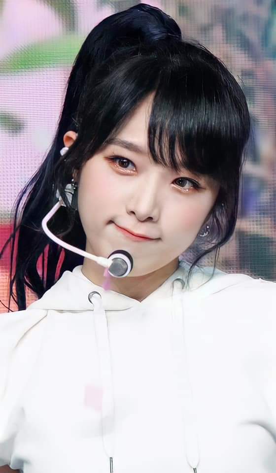 스토리조아 이미지