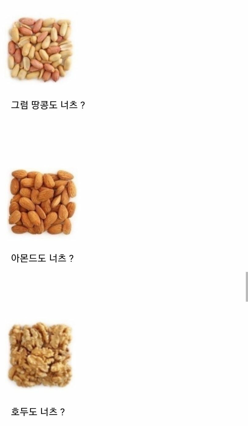 너츠스토리 이미지