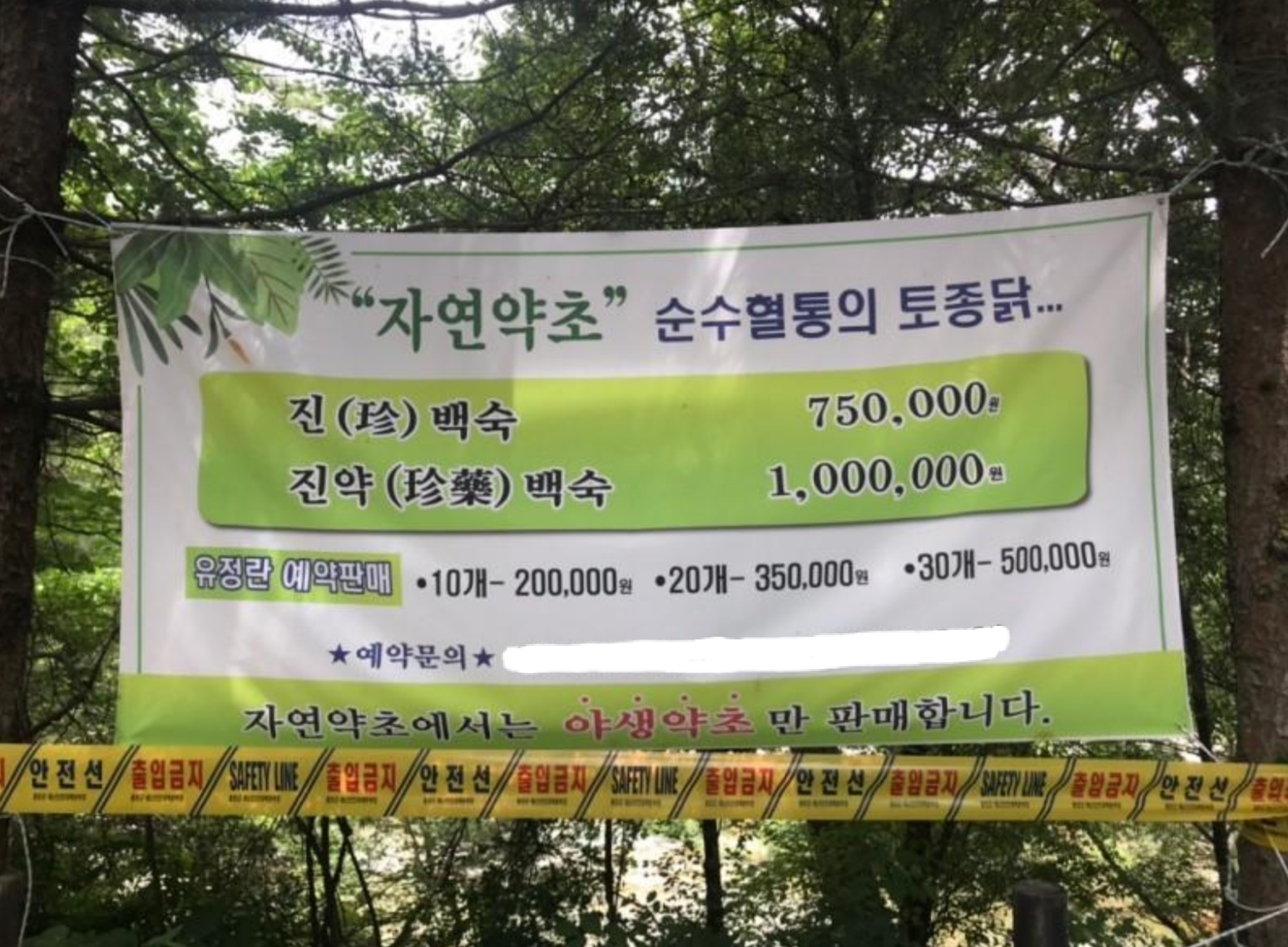 드라마 지리산 - 디아블로3 인벤 자유게시판 - 디아블로3 인벤 드라마 지리산 - 디아블로3 인벤 자유게시판