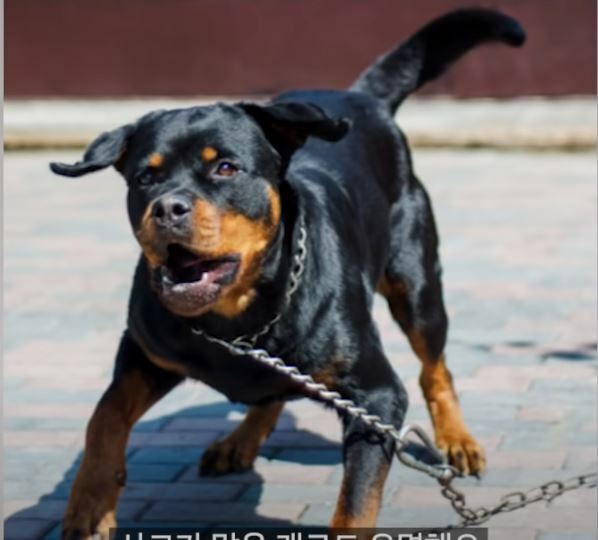 강형옥 이미지