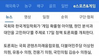 마비노기 총대진, 국회 간다