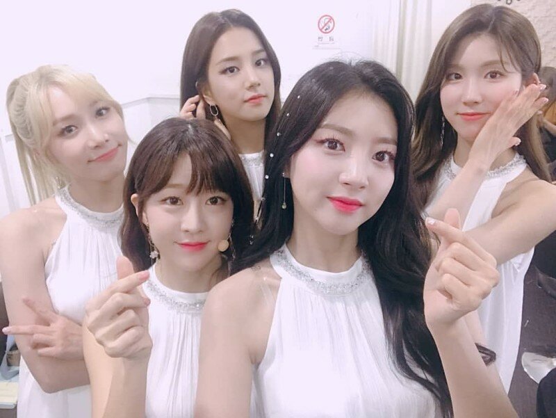 디엠 이미지