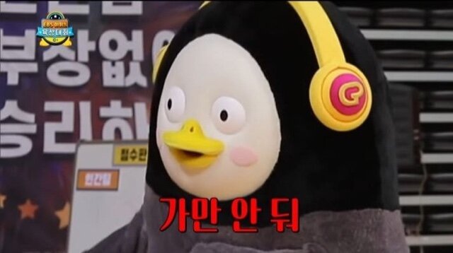 정돈가 이미지