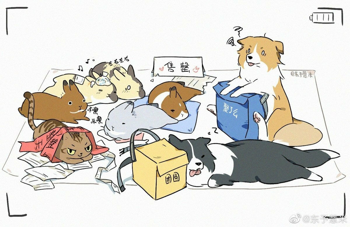 토끼공장 이미지