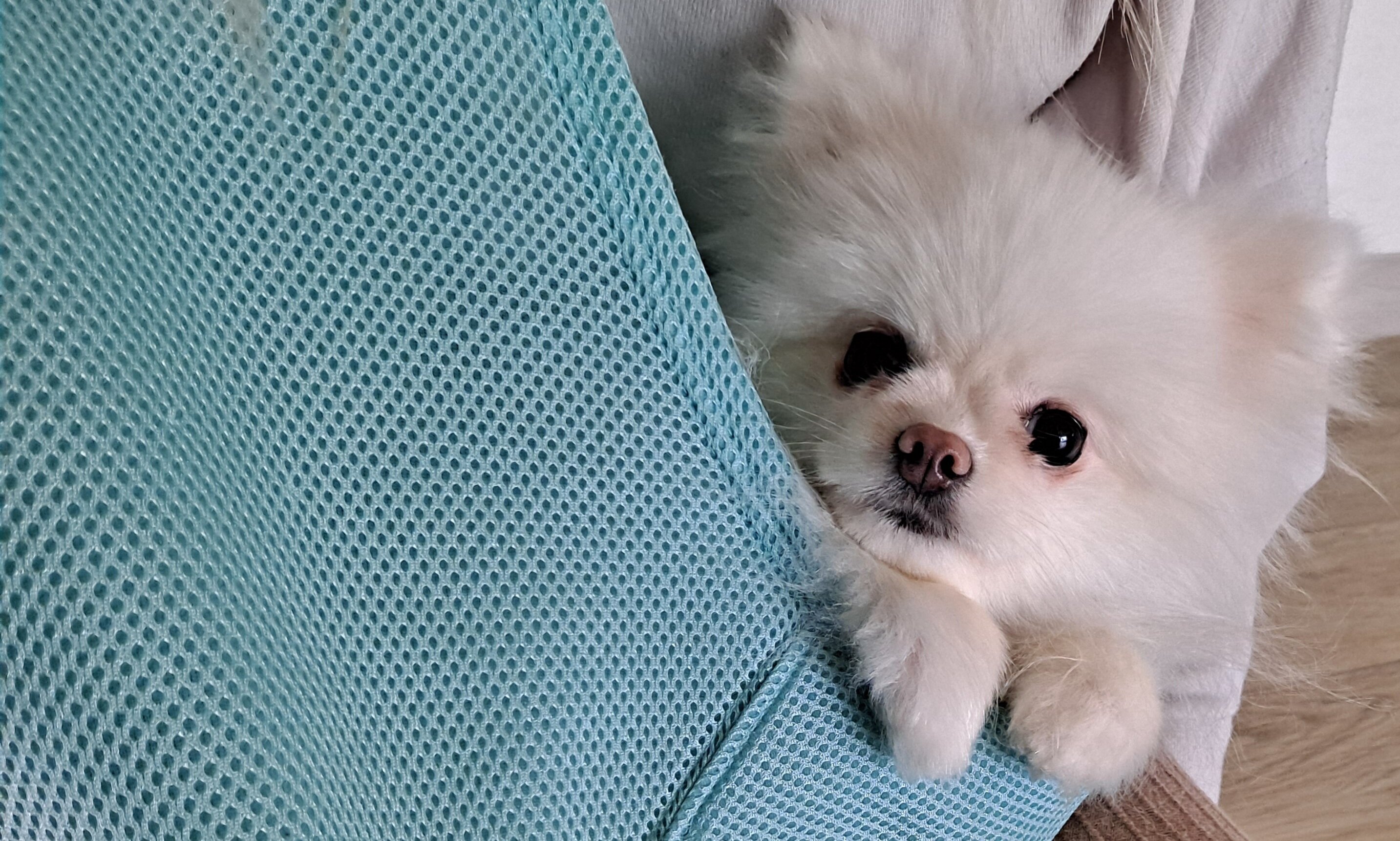 가요용역 이미지