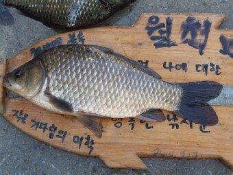 대박PC게임 이미지