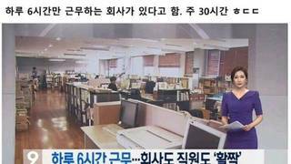 하루 6시간 근무하는 한국회사