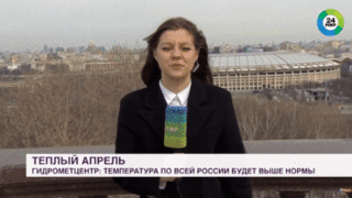 러시아 생방송 뉴스 중 발생한 사건