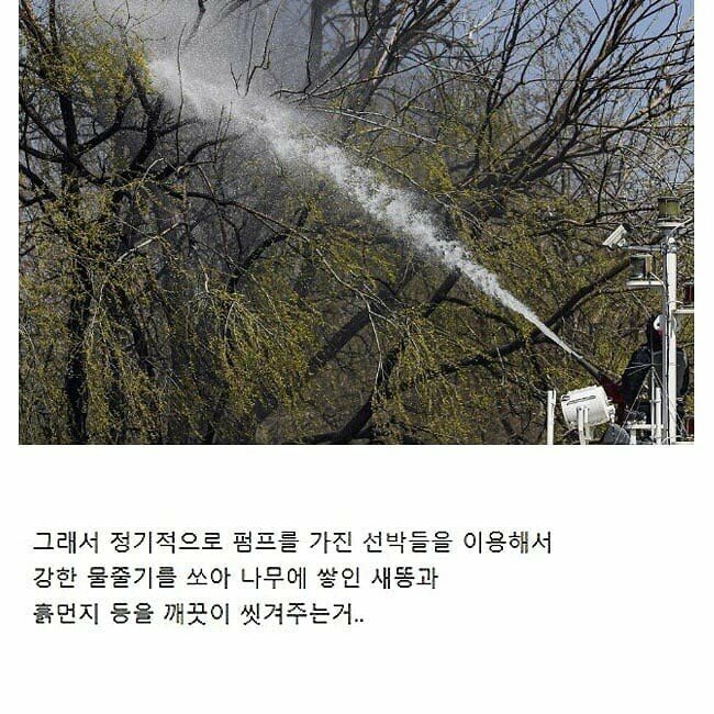 피파 온라인4 인벤 : 서울 한강에 있다는 섬의 정체 - 피파 온라인4 인벤 자유게시판