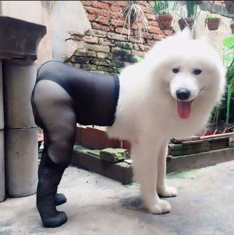 폭군피시방 이미지