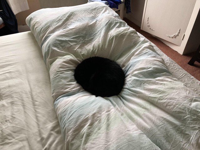 블랙홀PC방 이미지