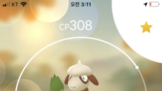 갤러리 프리뷰 이미지
