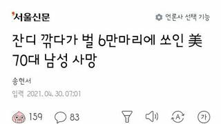 잔디 깎다가 벌 6만마리에게 쏘인 미국 70대 남성