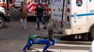 주민 반발에 손든 뉴욕 경찰…로봇경찰견 임대 조기 종료